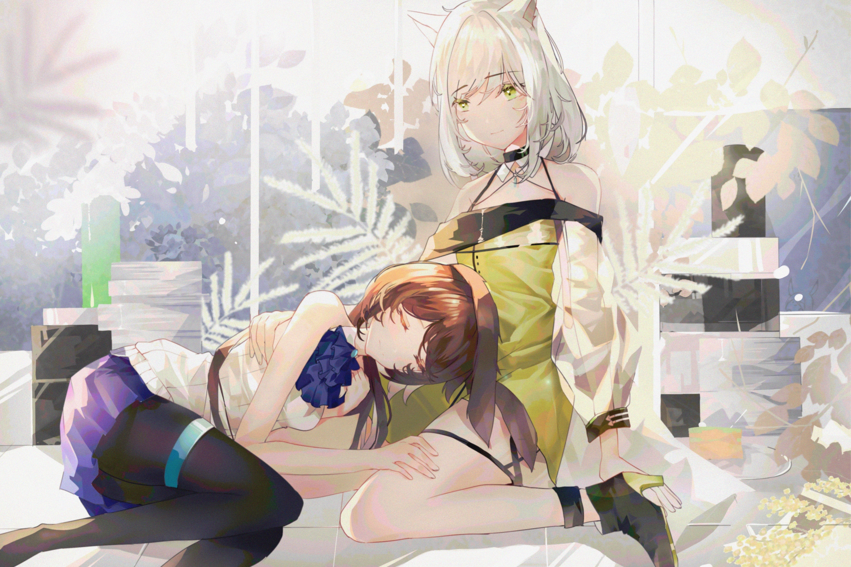 贴贴
