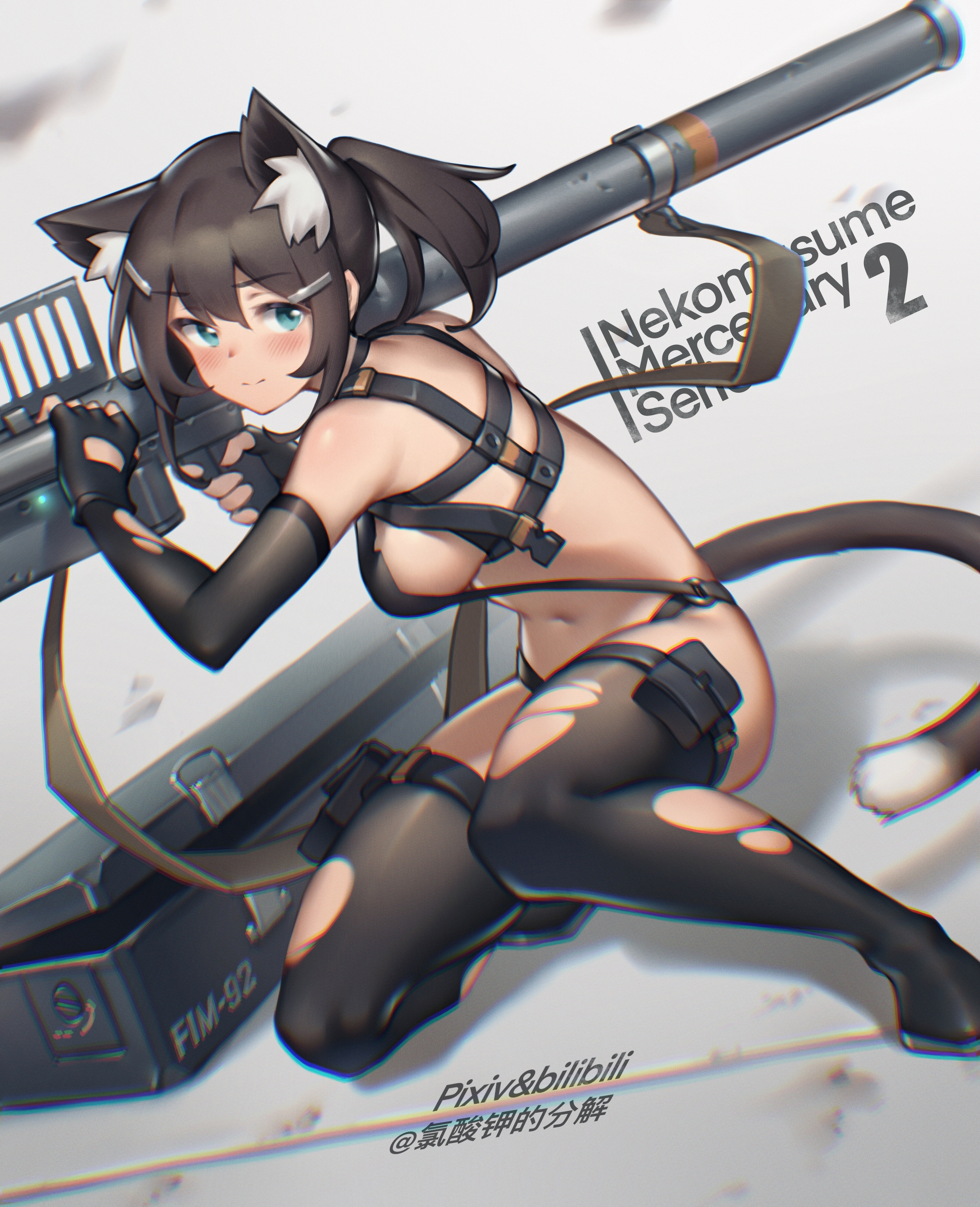 猫耳佣兵系列(不知是第几张)