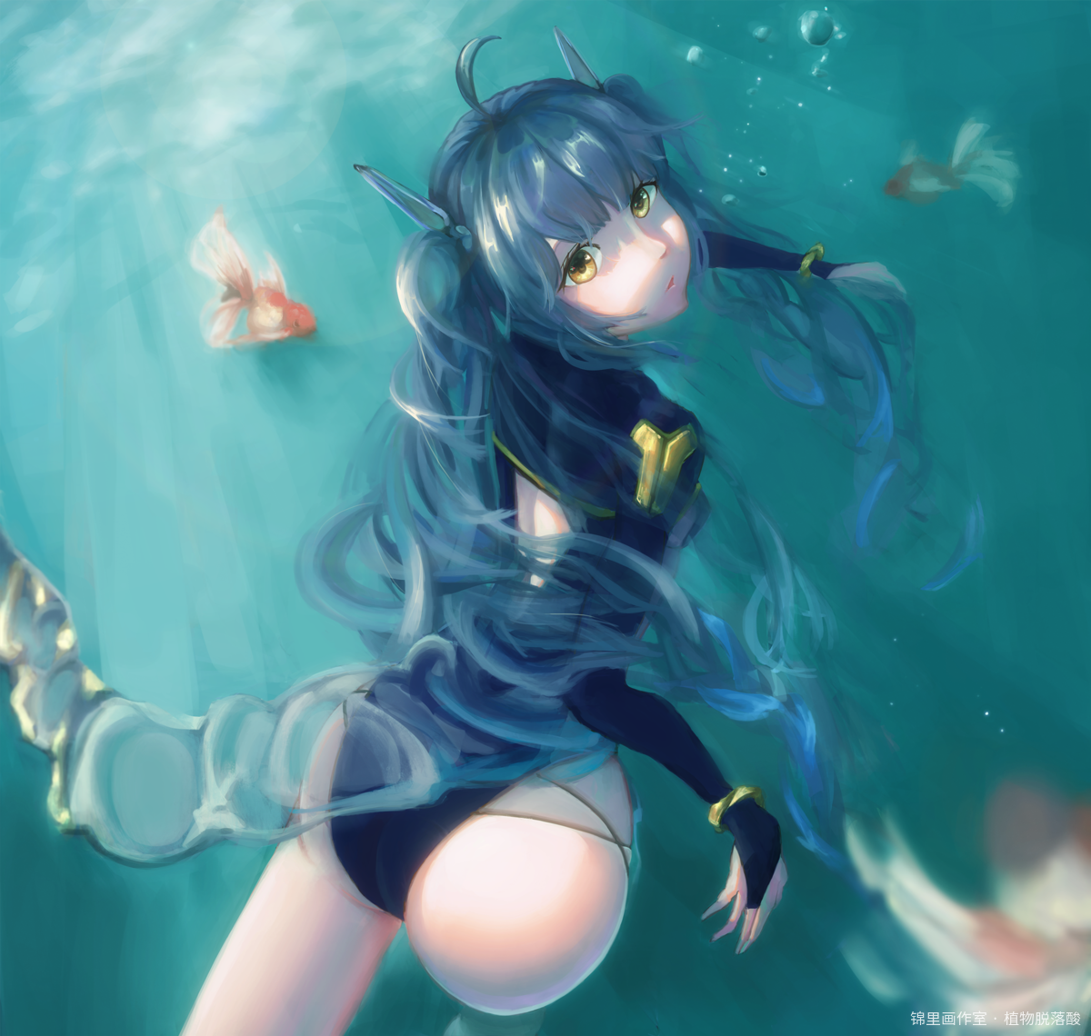 锦里姬