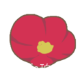 Percfa珀克法