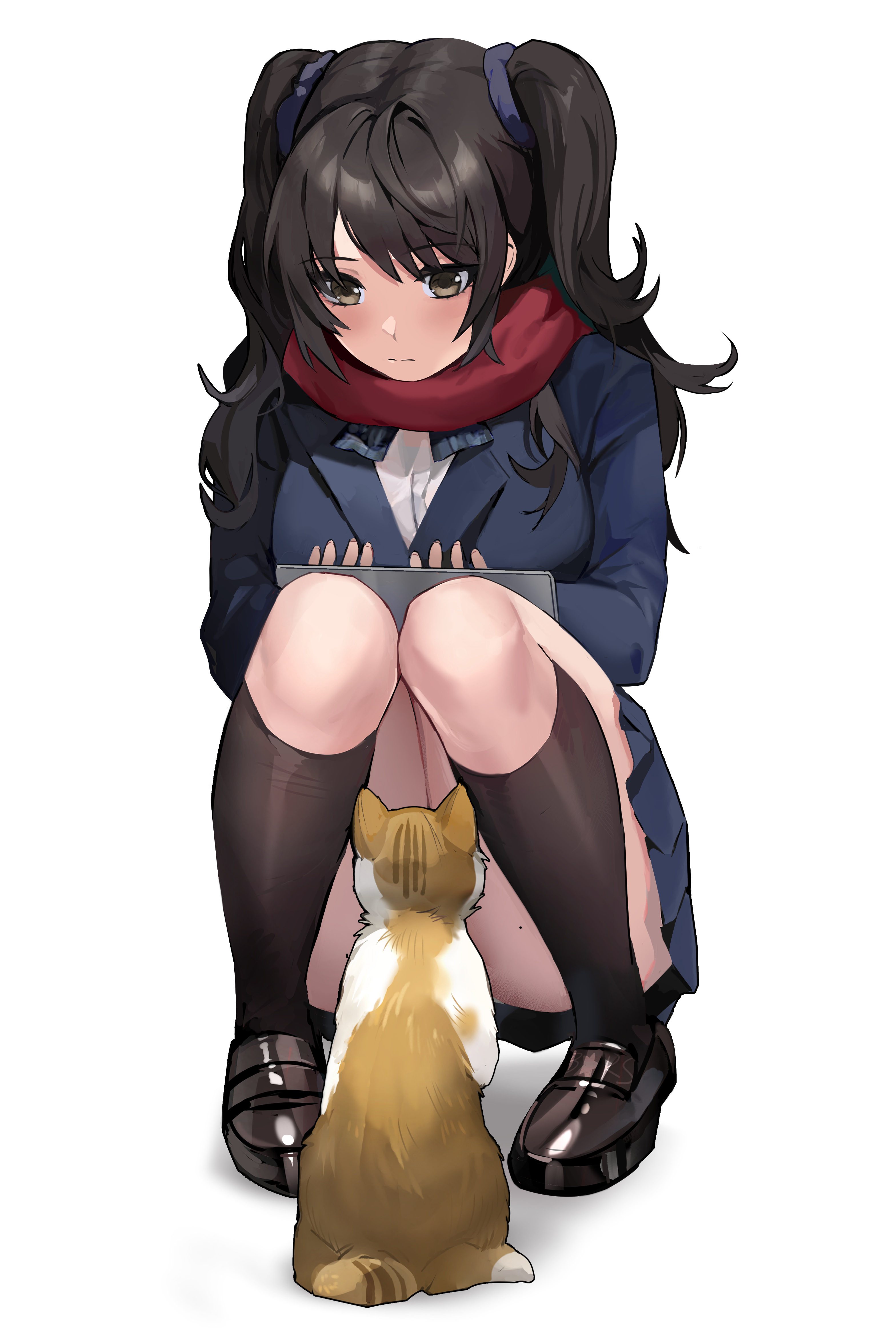 关注点