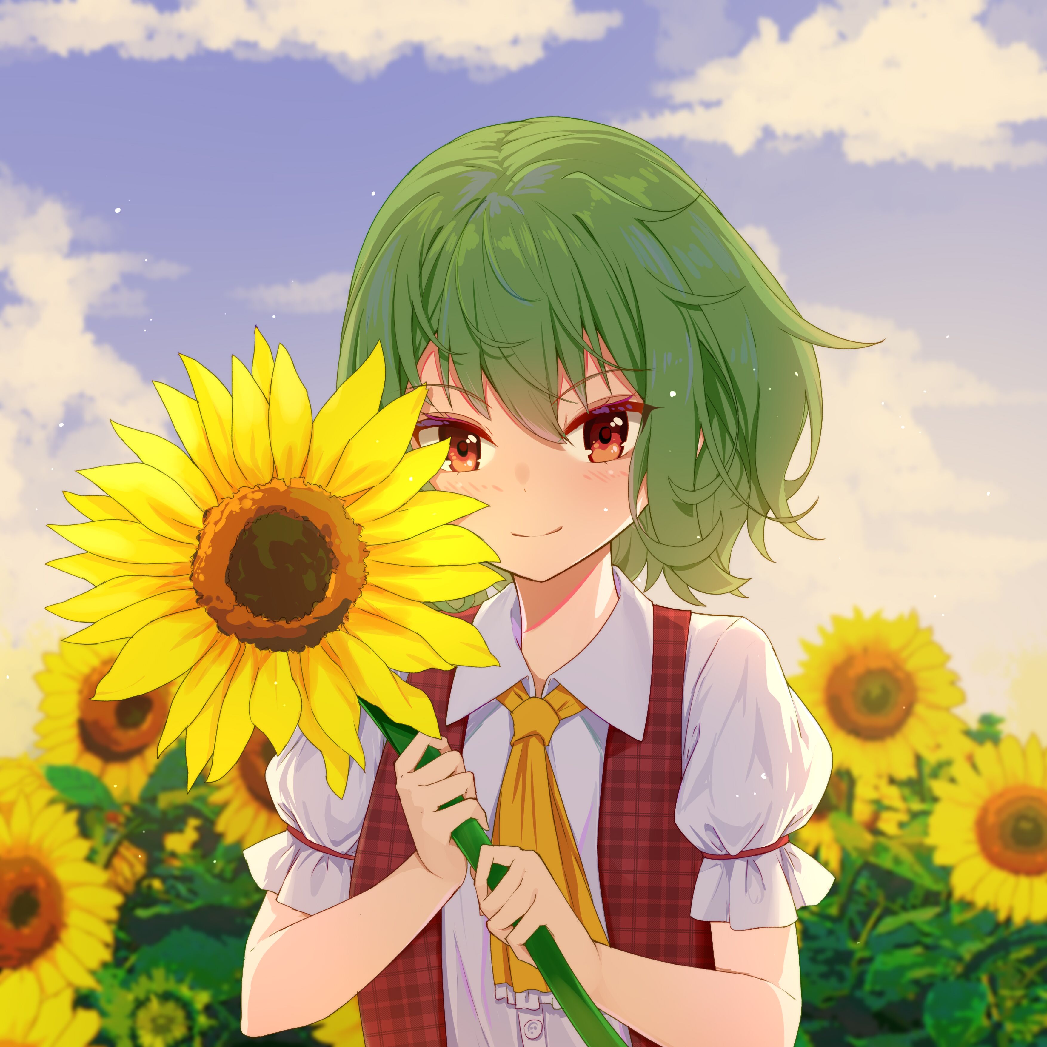 风间幽香