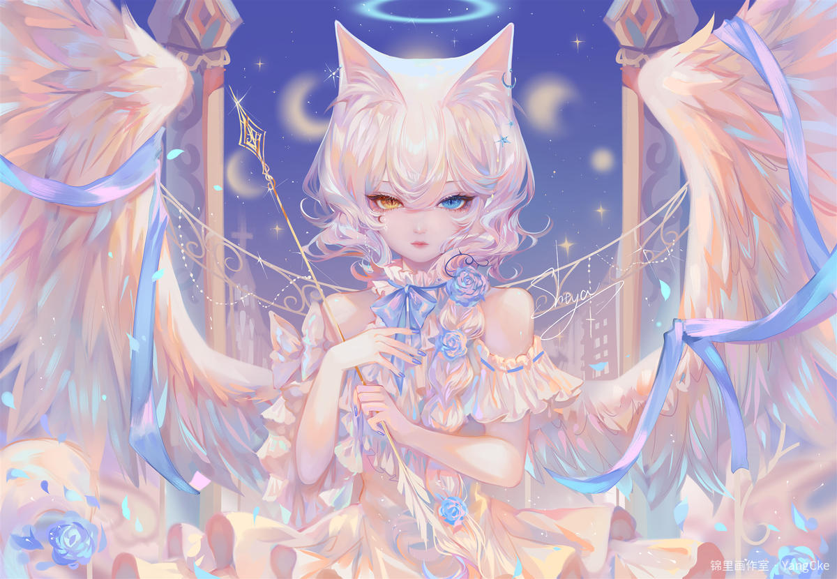 天使猫猫