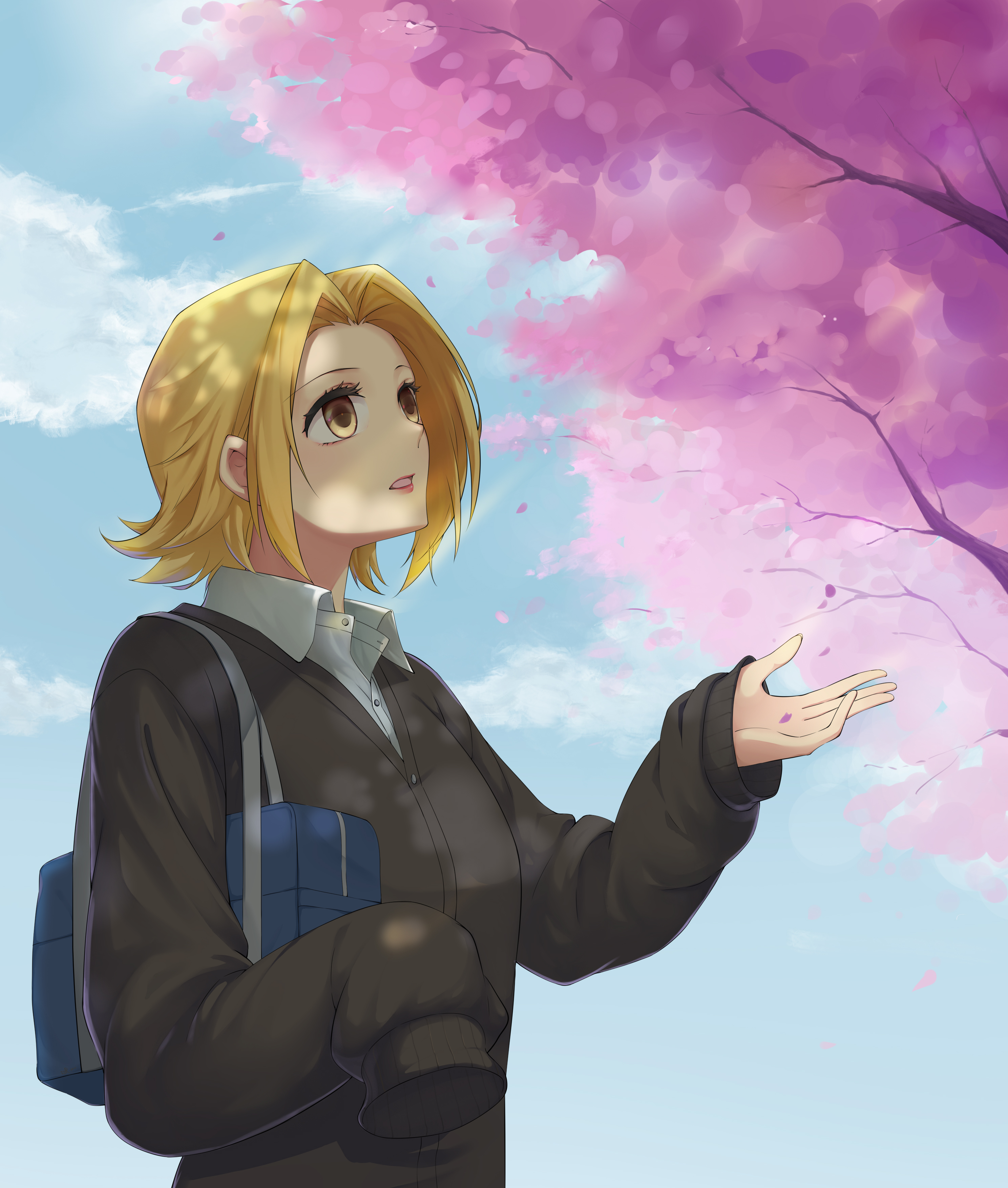 雪与樱花