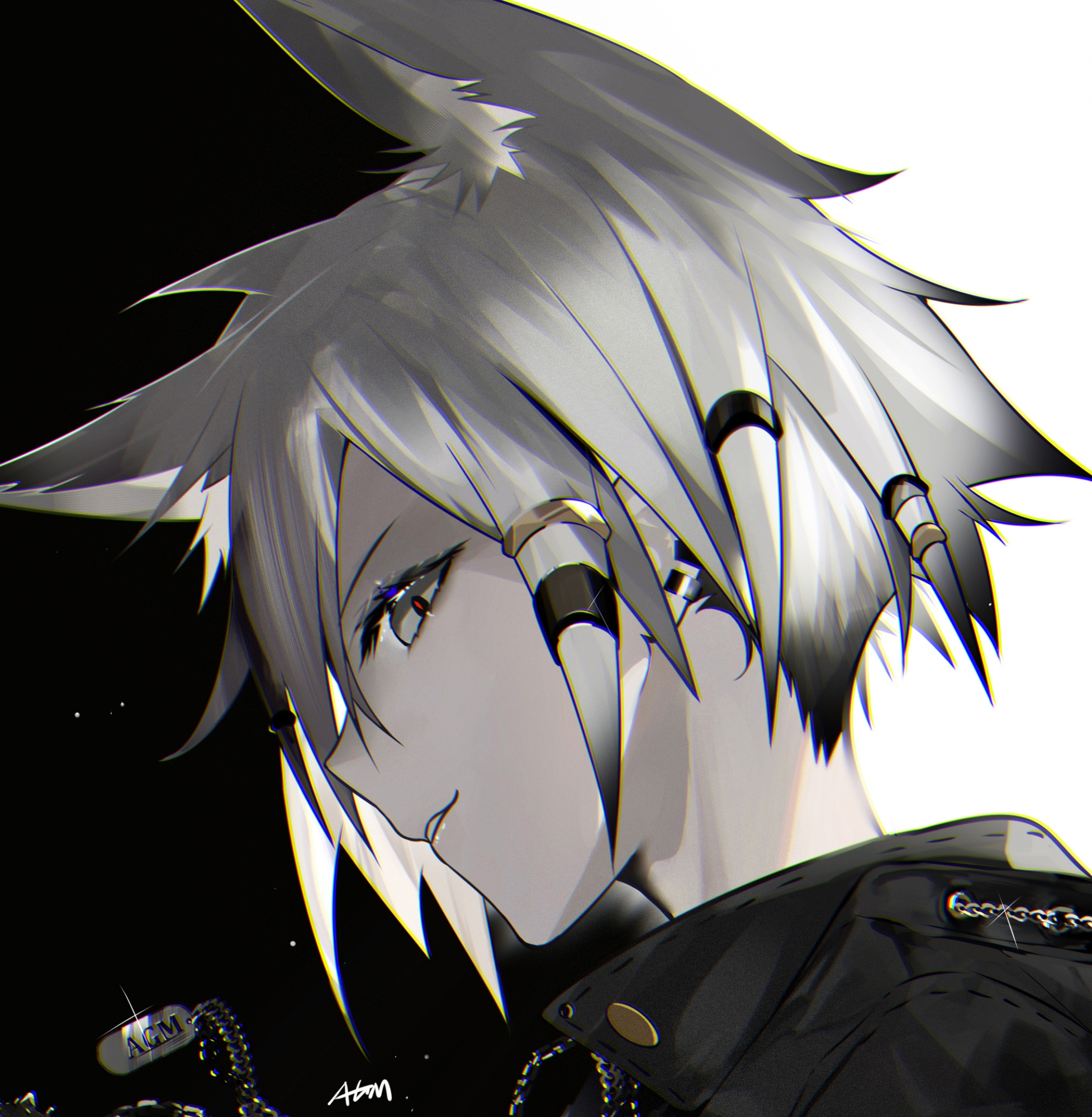 rap 拉狗