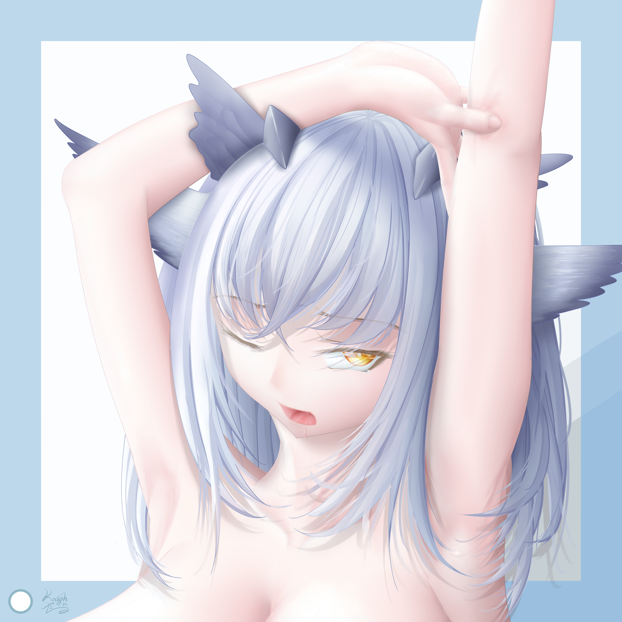白面鸮-Ptilopsis