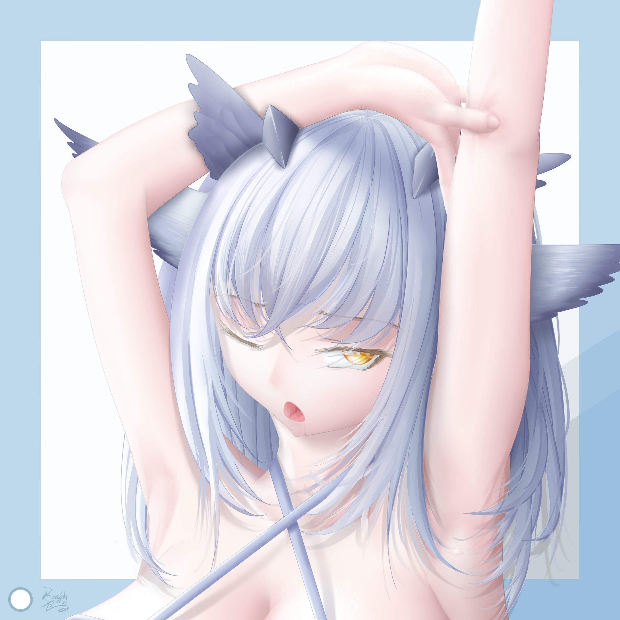 白面鸮-Ptilopsis