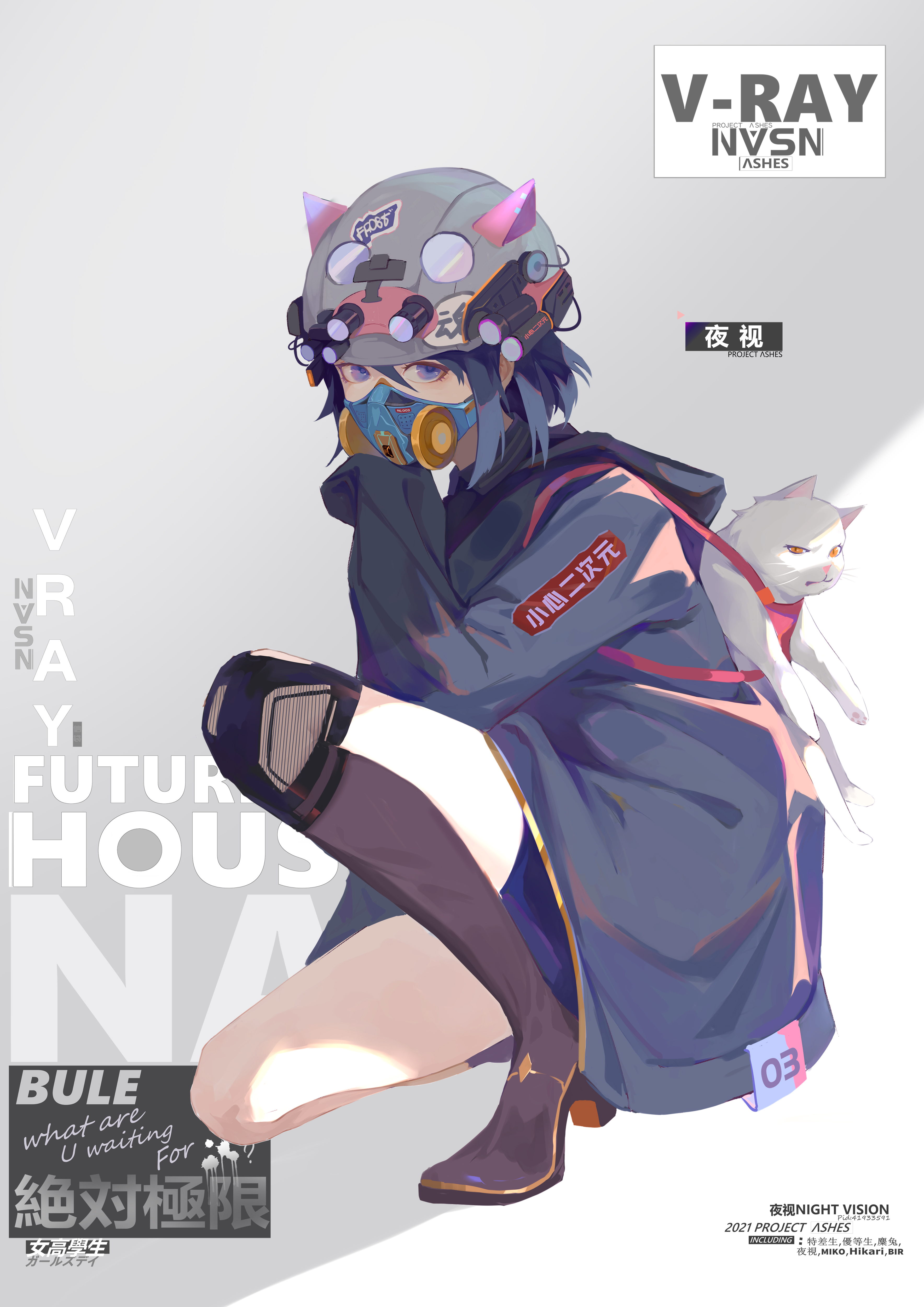V-RAY
