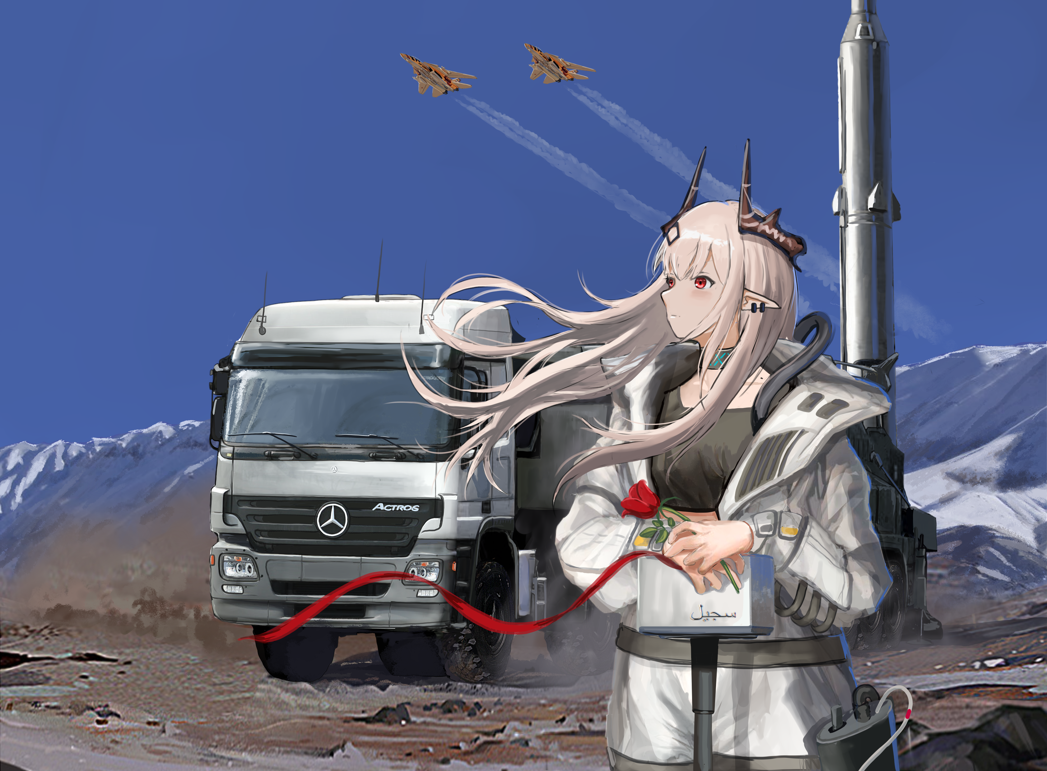 《流星与岩之花》封面