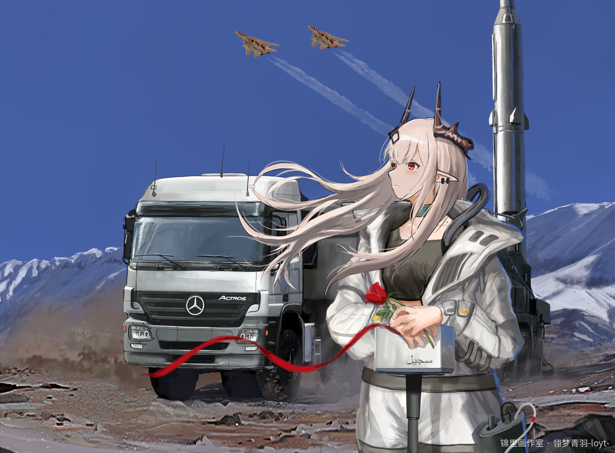 《流星与岩之花》封面