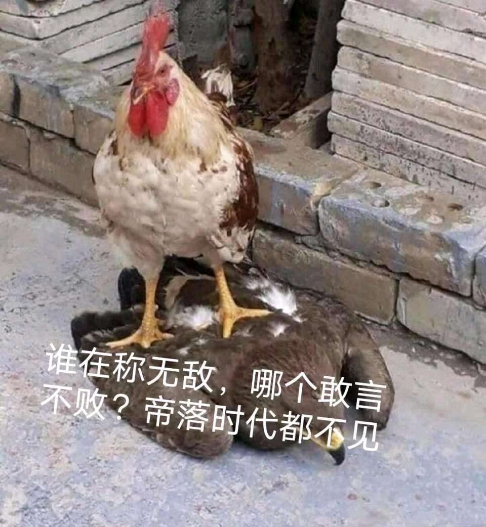 HMCCCP