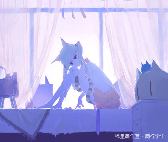 猫灵相册宁宁