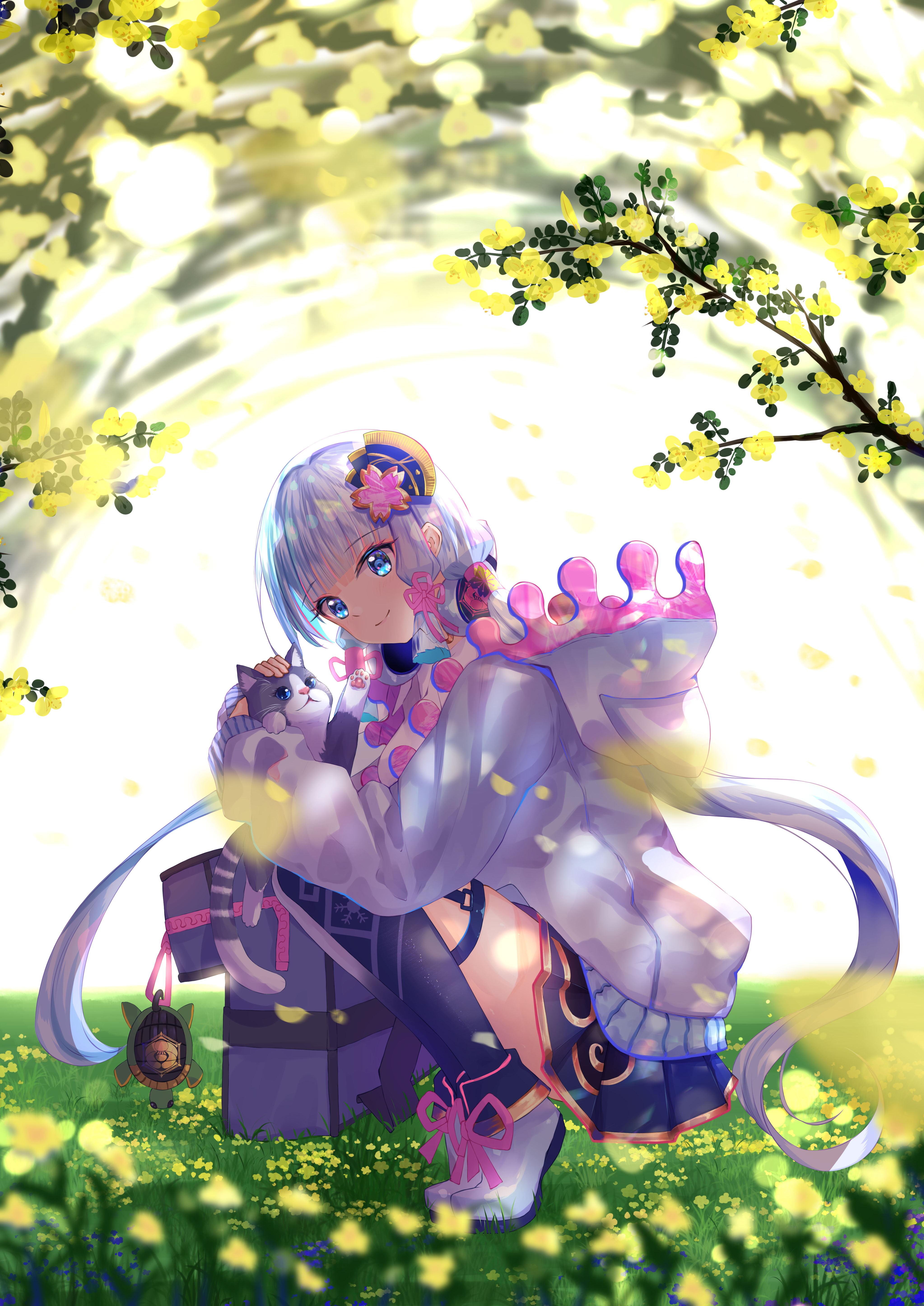 黄花大龟女