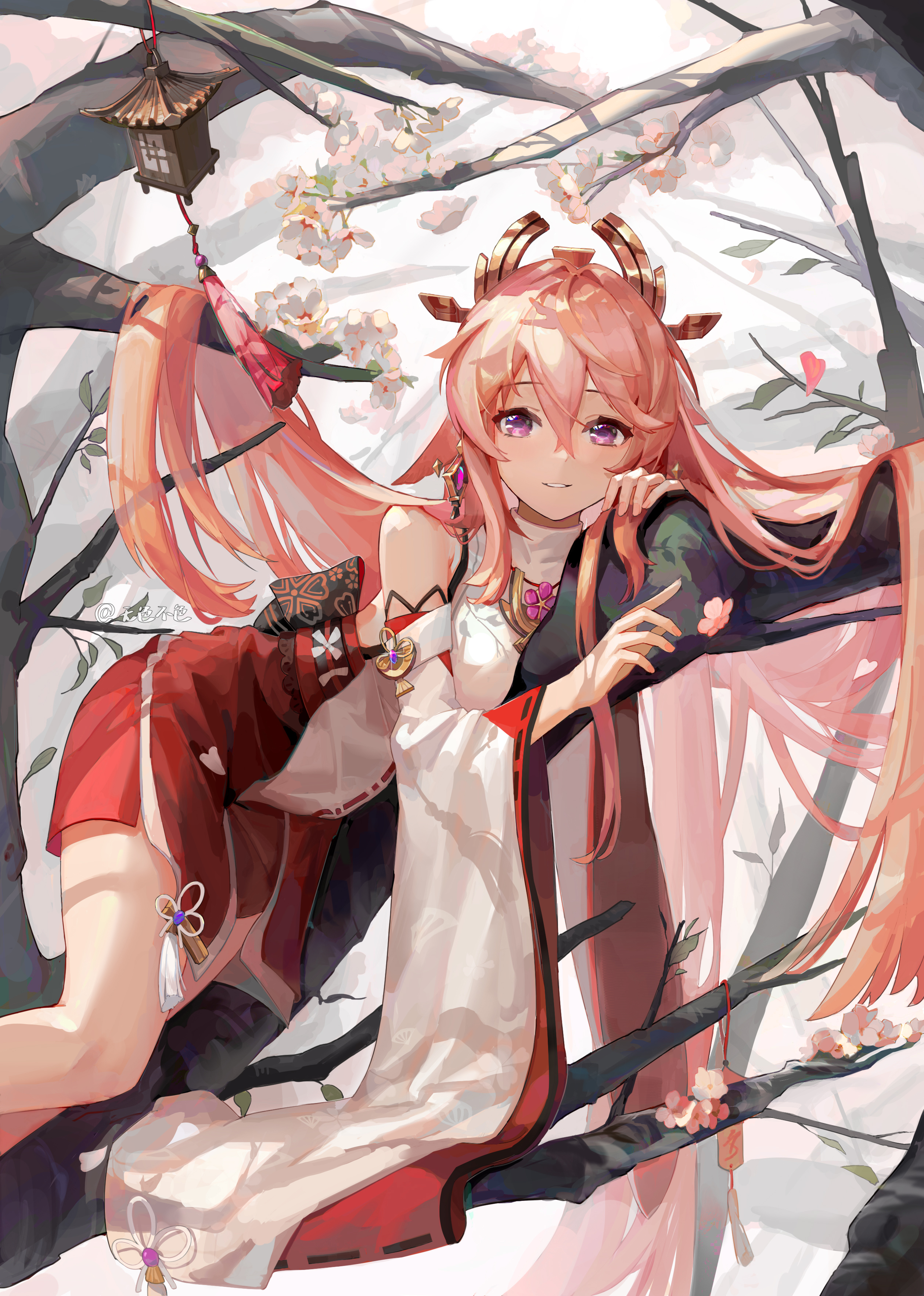 狐狸