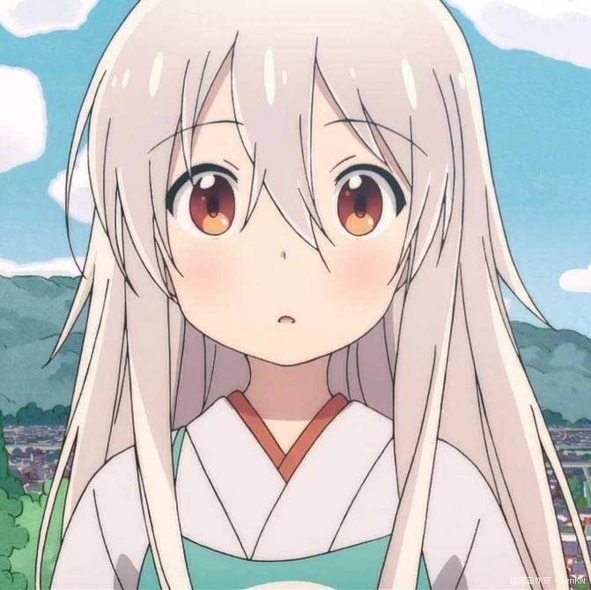SenKN