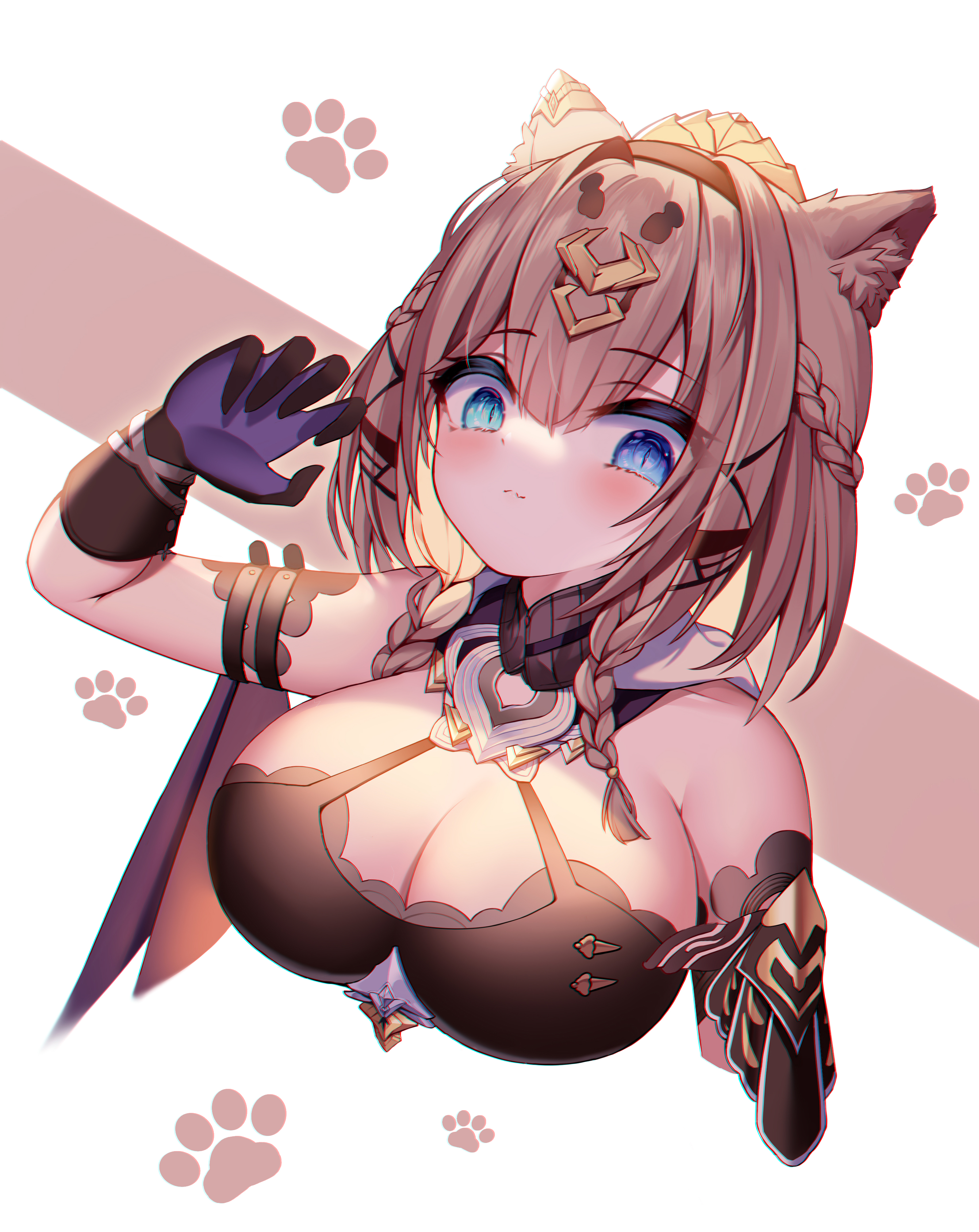 猫猫