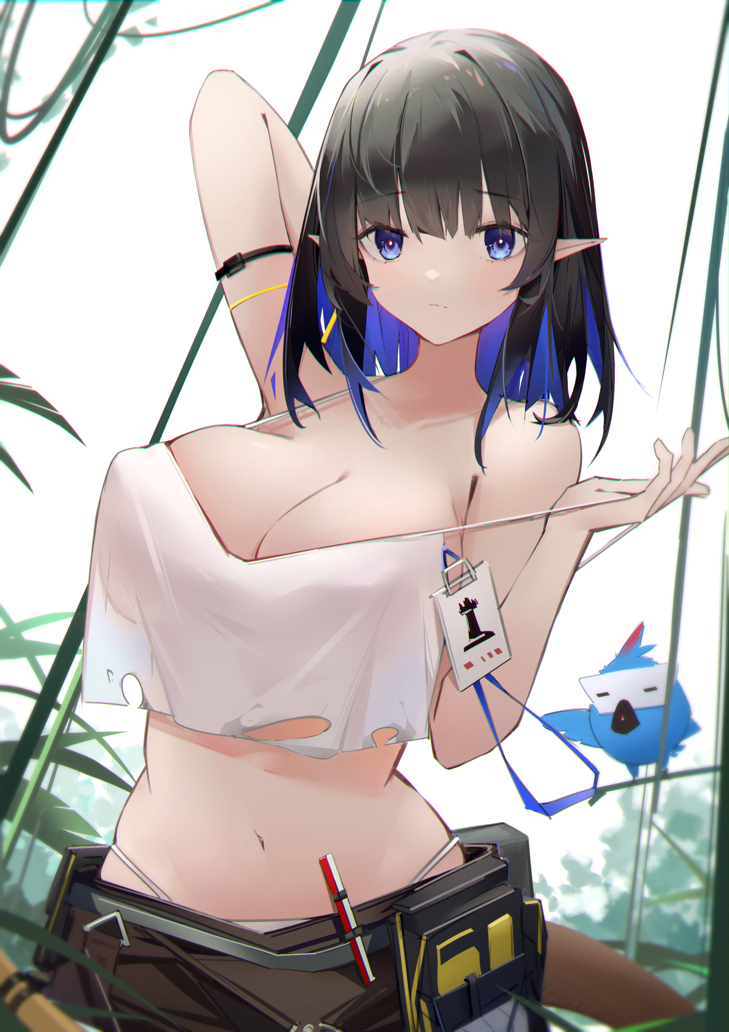 森蚺