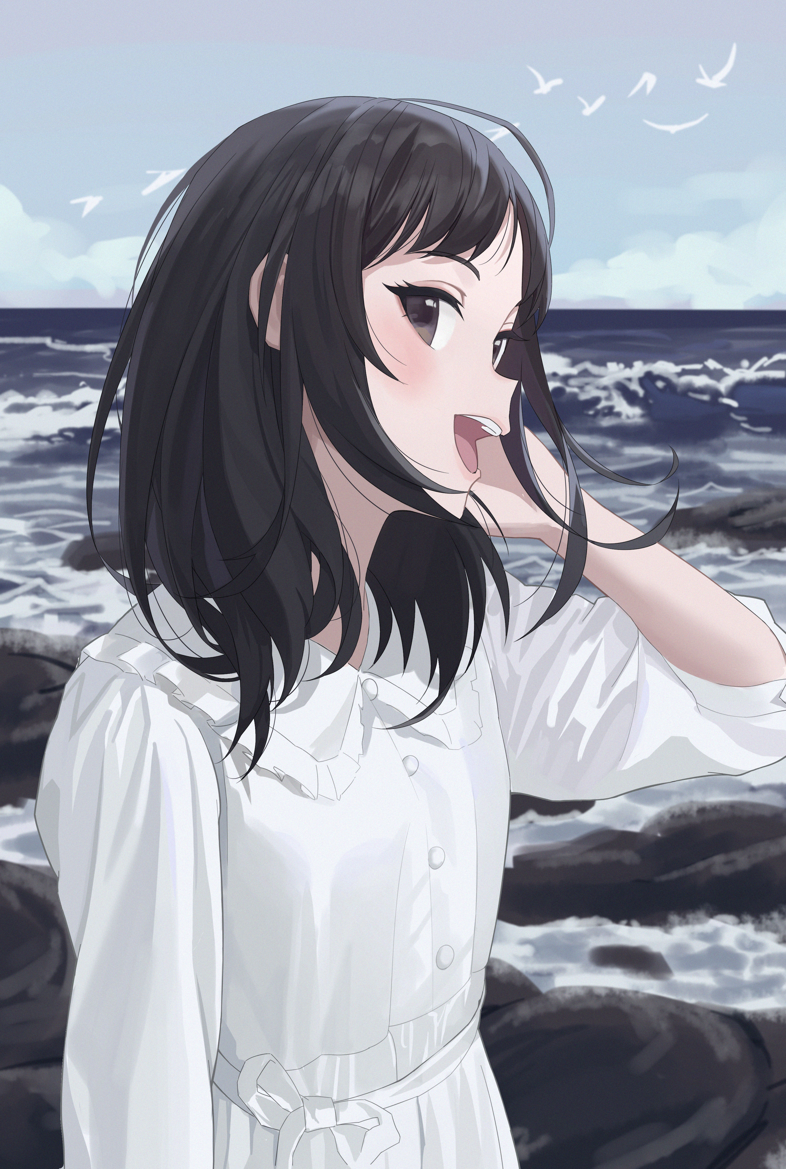 海