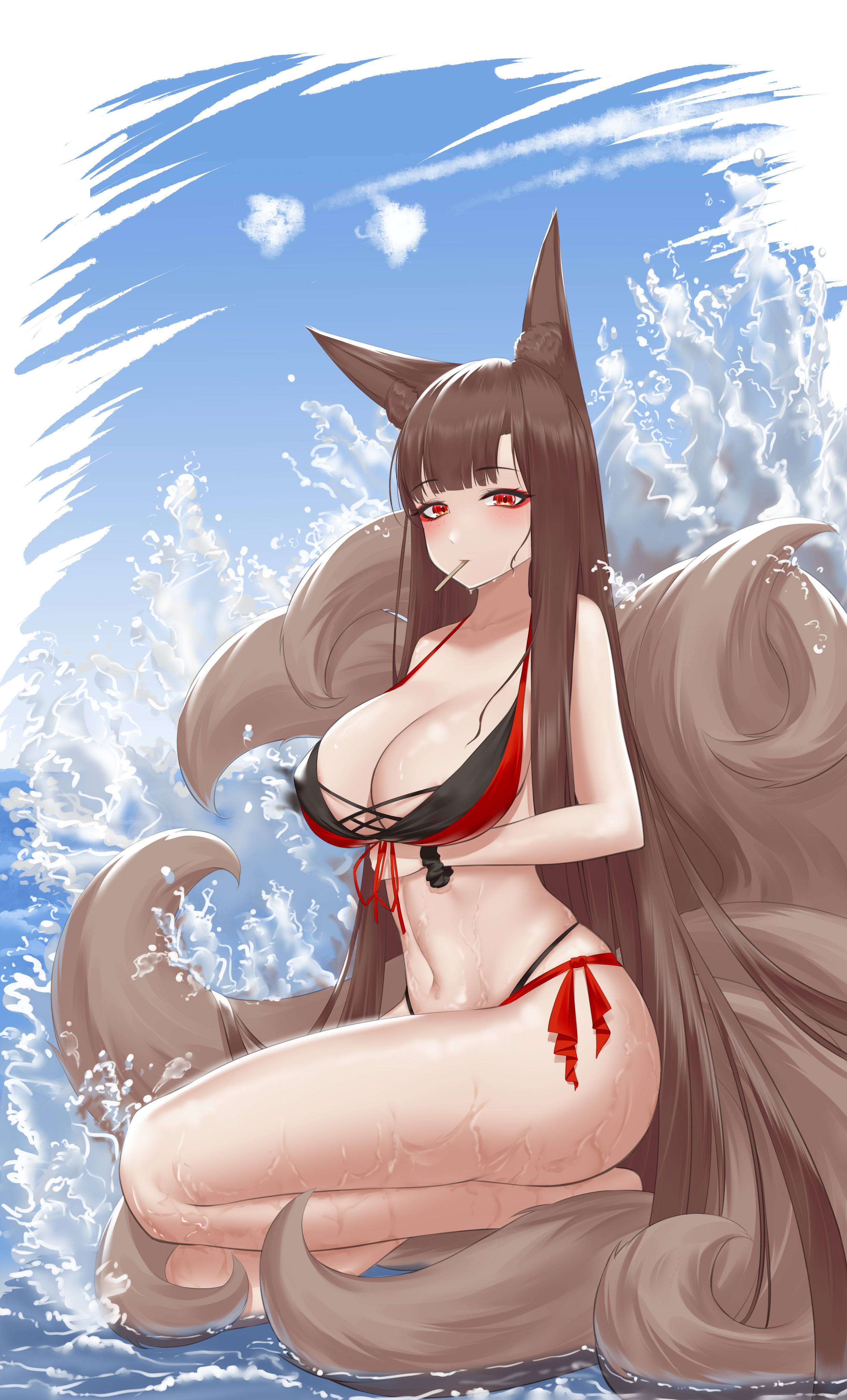夏日尾巴