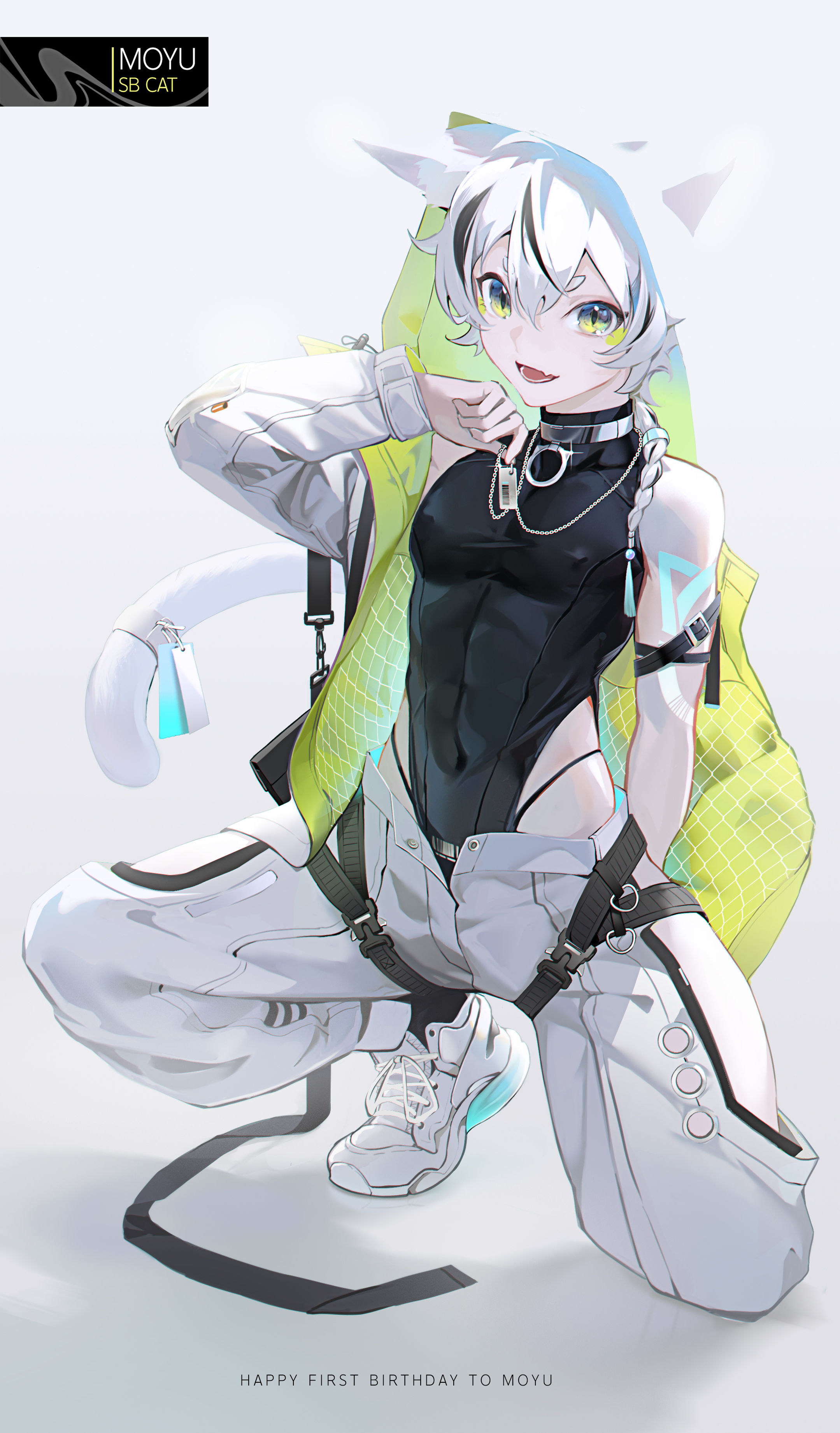 俺家的小猫咪