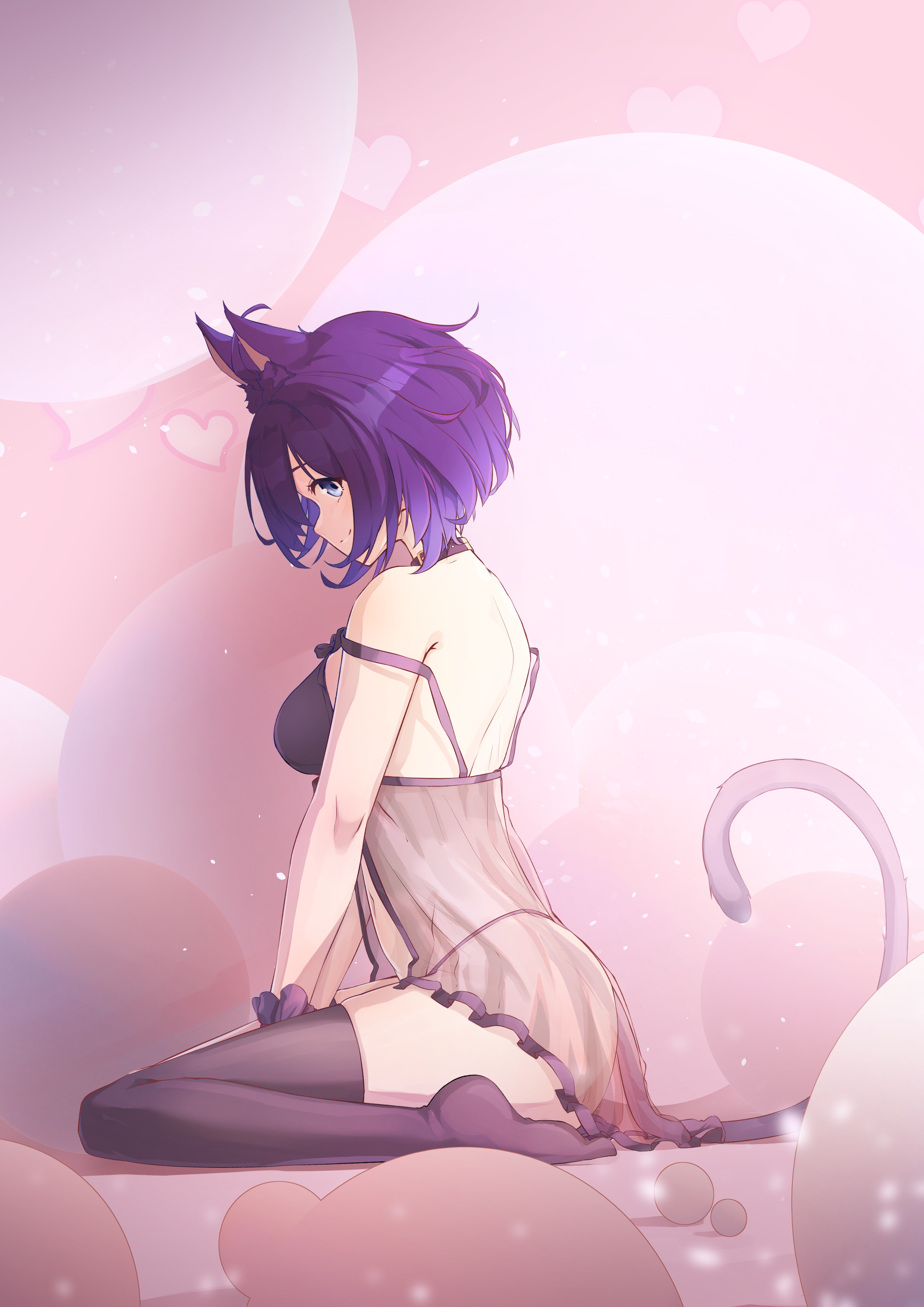 DAY8 猫尾