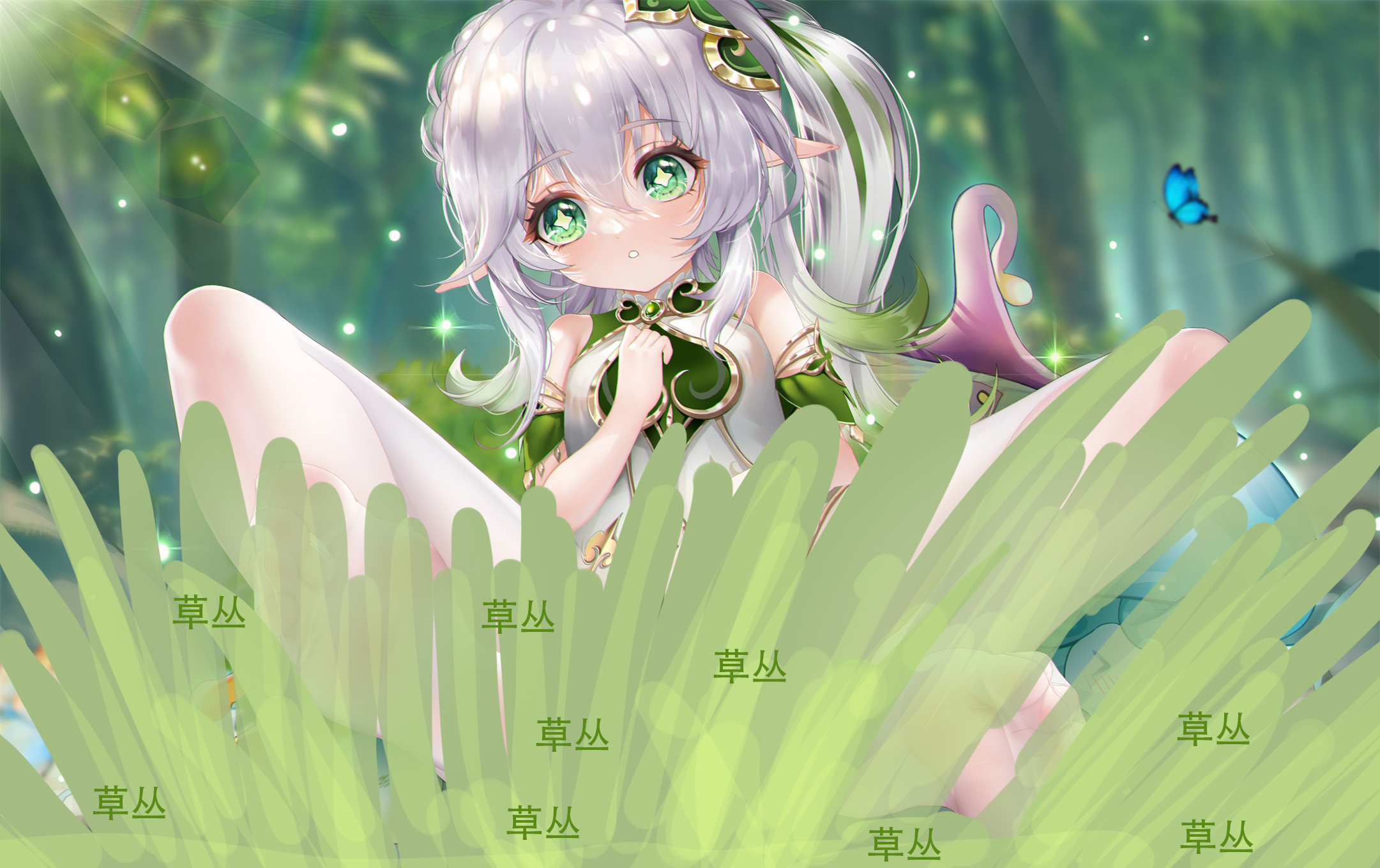 纳希妲