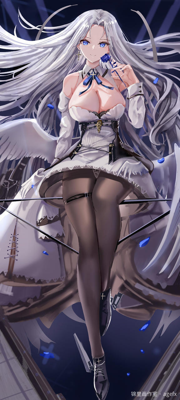 fighting-lady