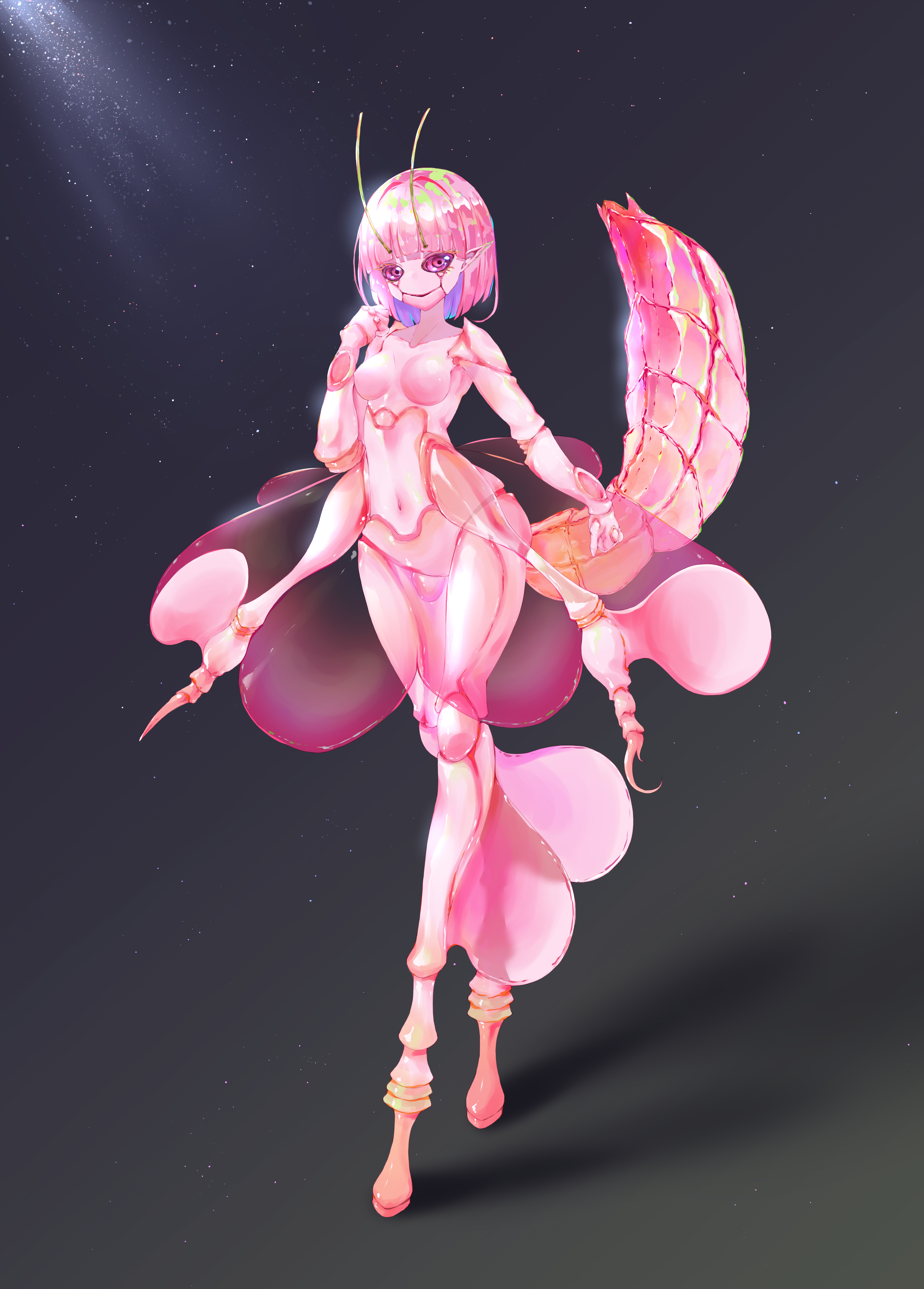 兰花螳螂