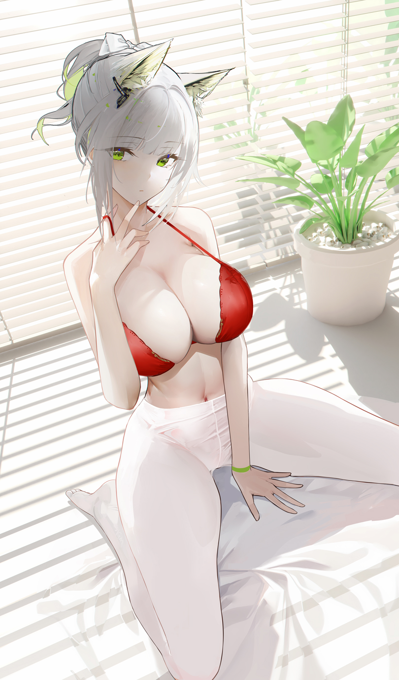 红凯