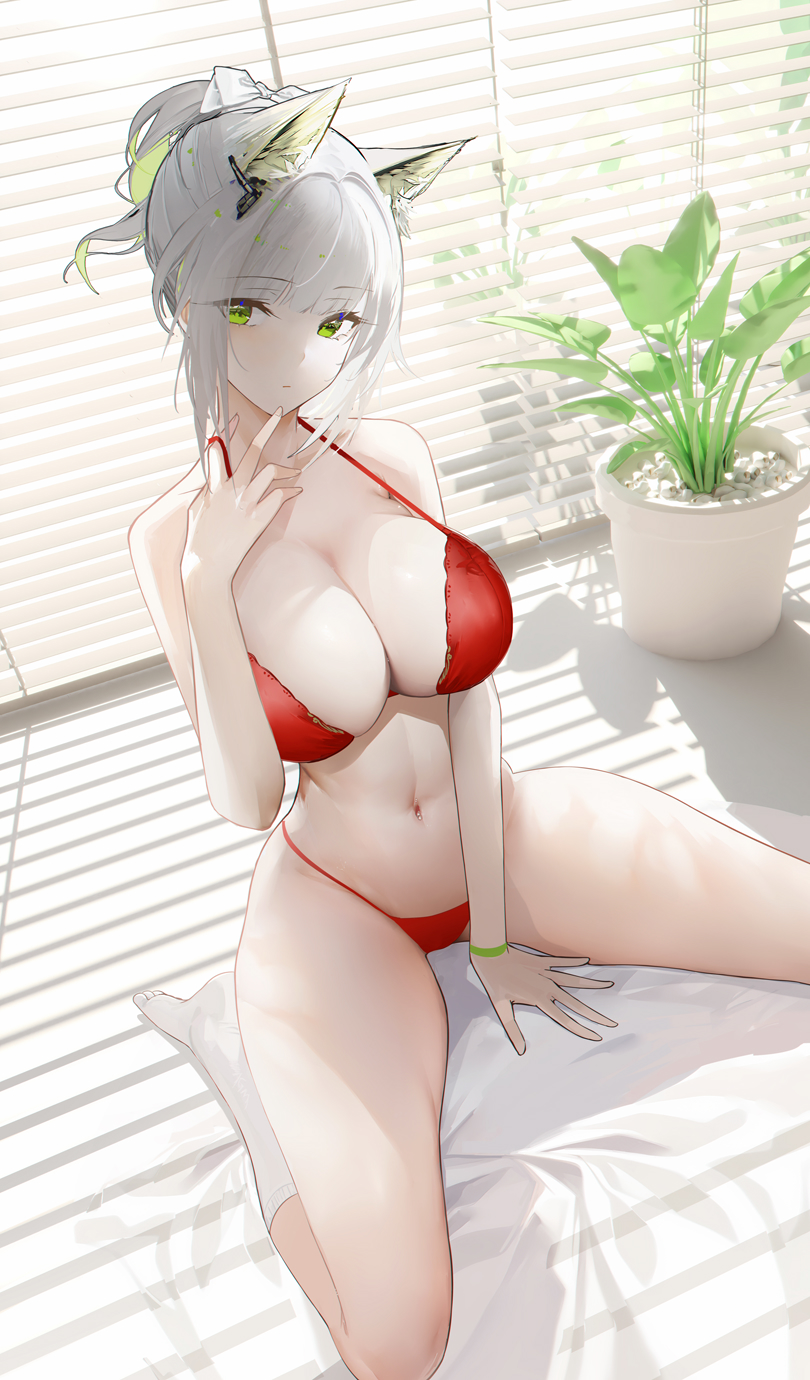 红凯