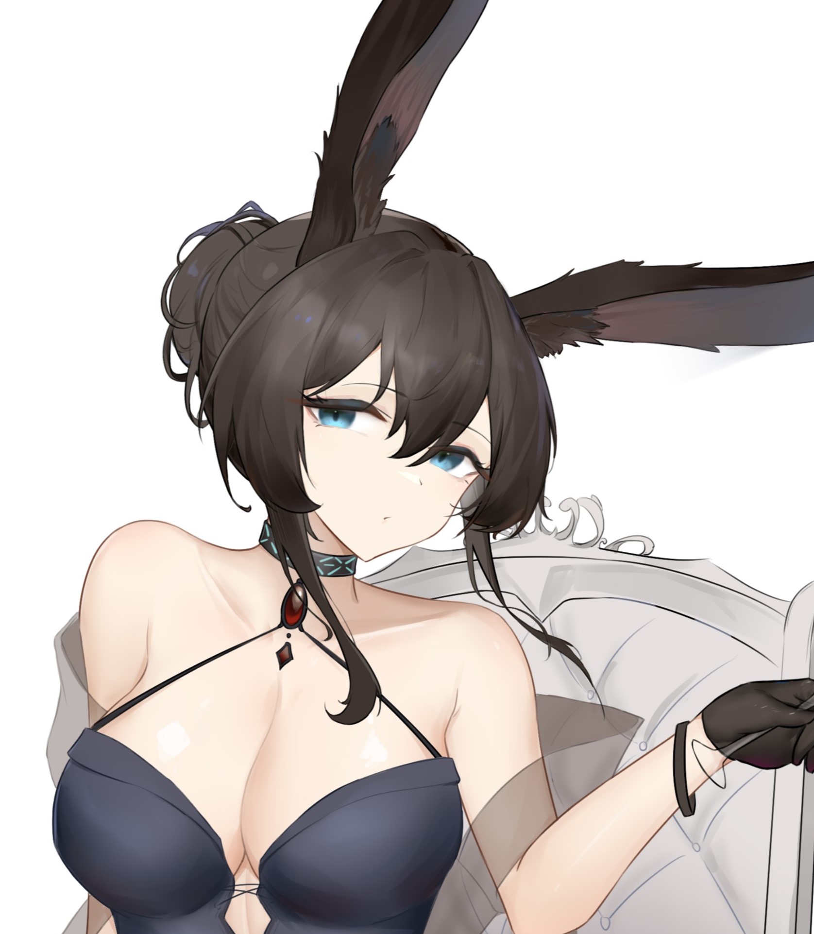 礼服兔