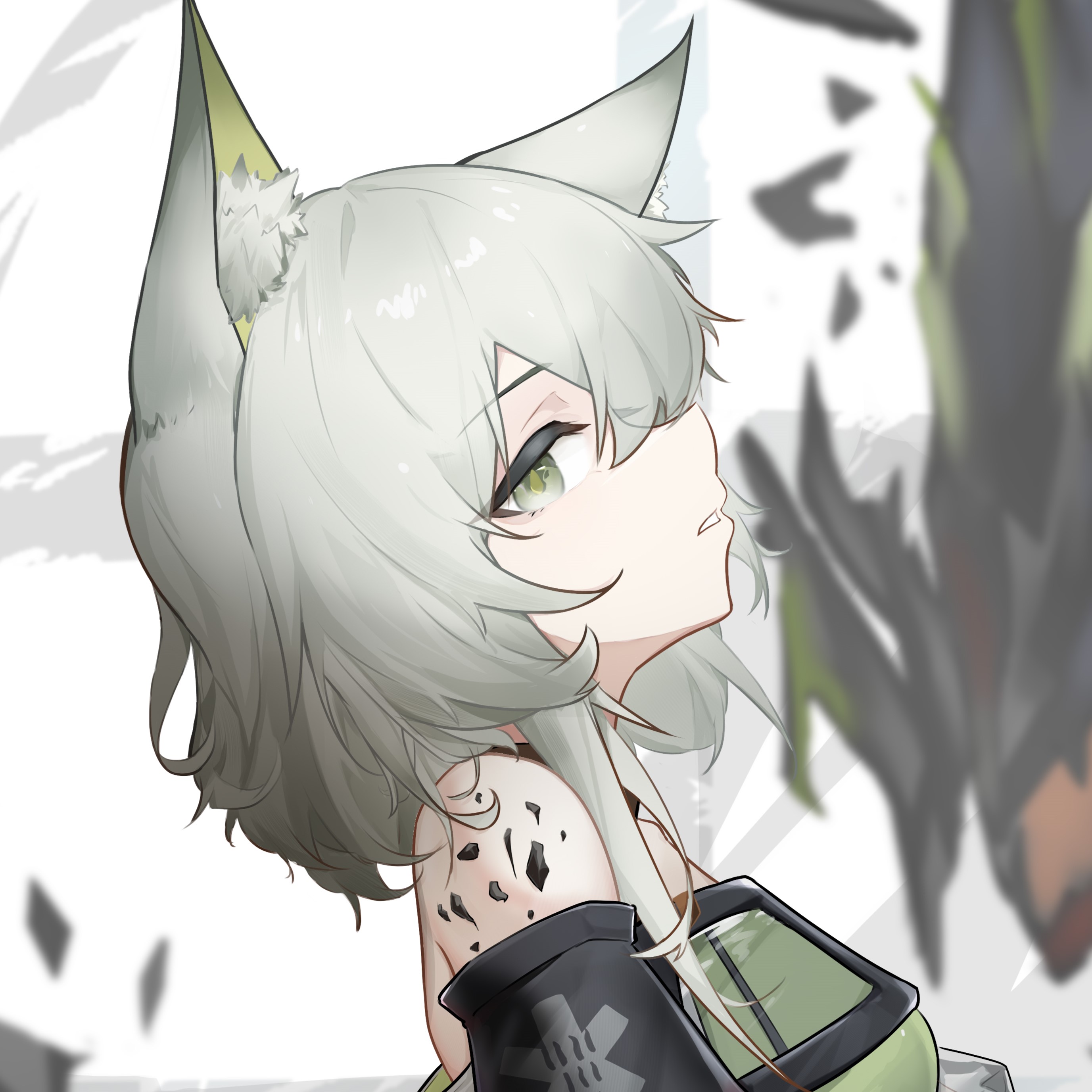 凯尔希