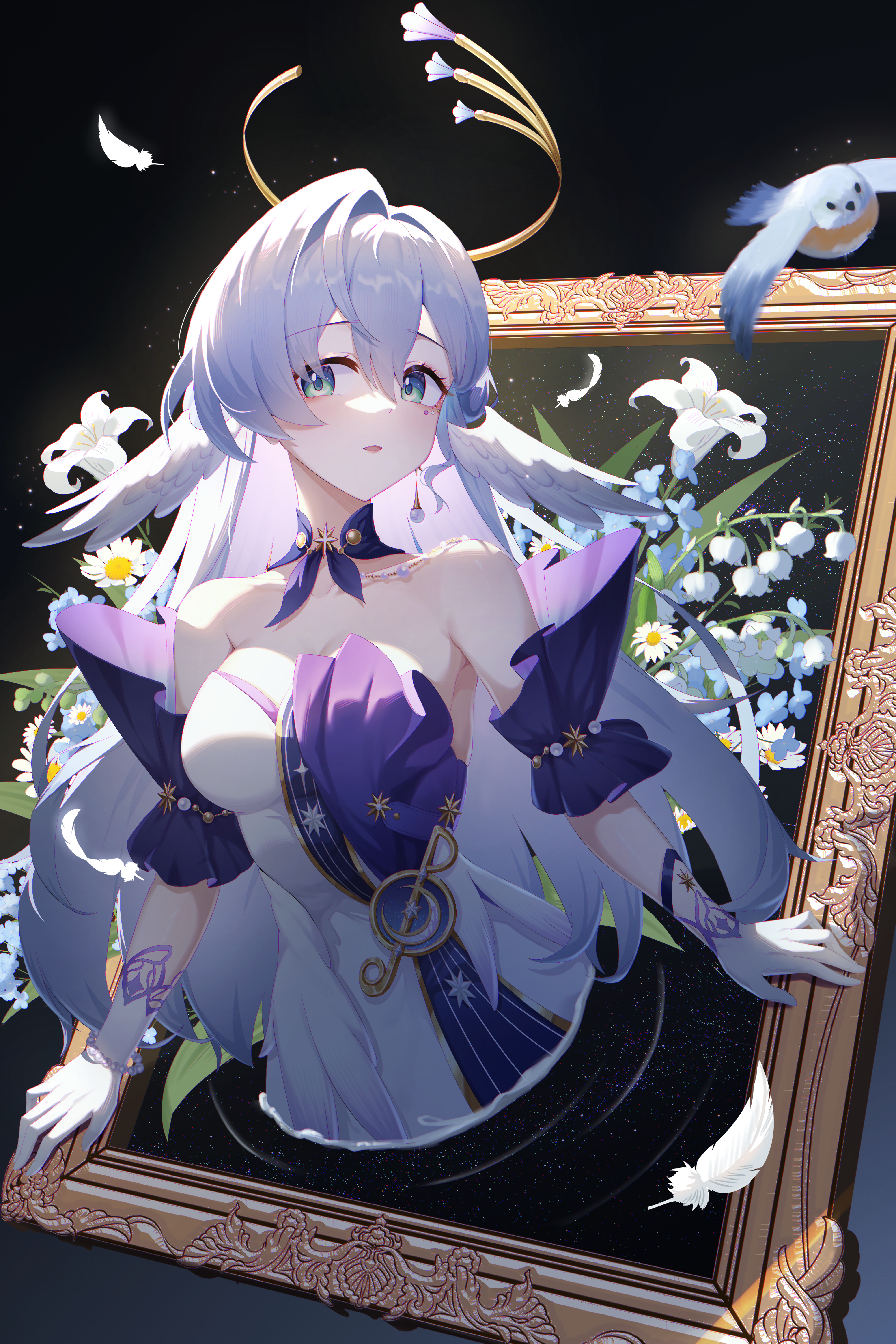 画框知更鸟