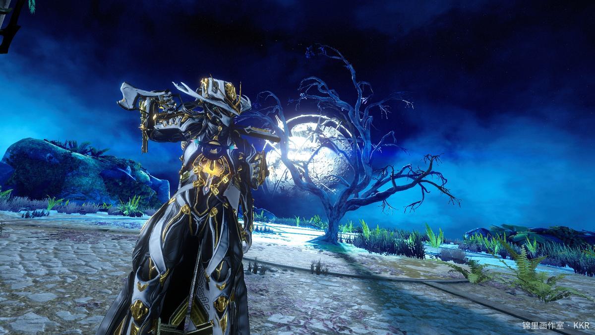 星灵夜歌